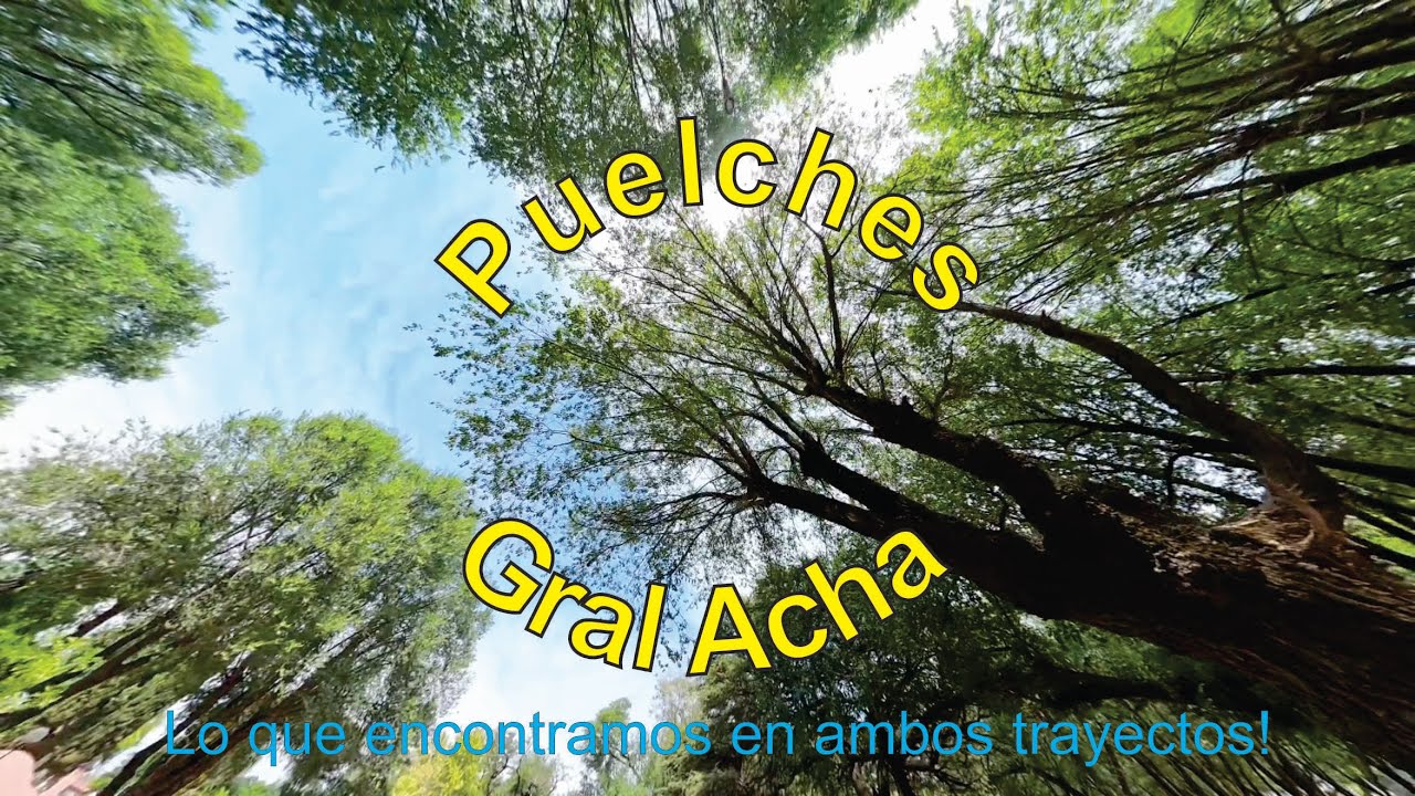 General Acha y Puelches | La Pampa | Argentina