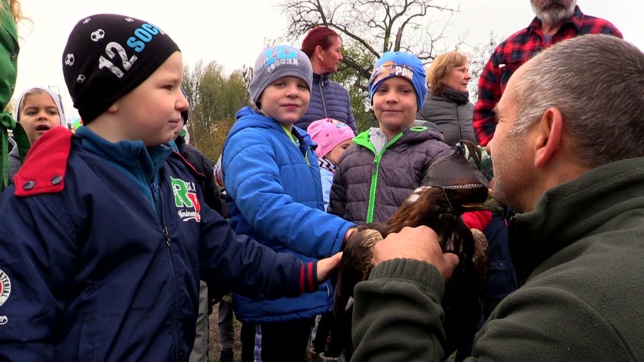 M5 csatorna - Szent Hubertusz sólyom és sas vadászat - 2019/5. adás - 2019.12.21.