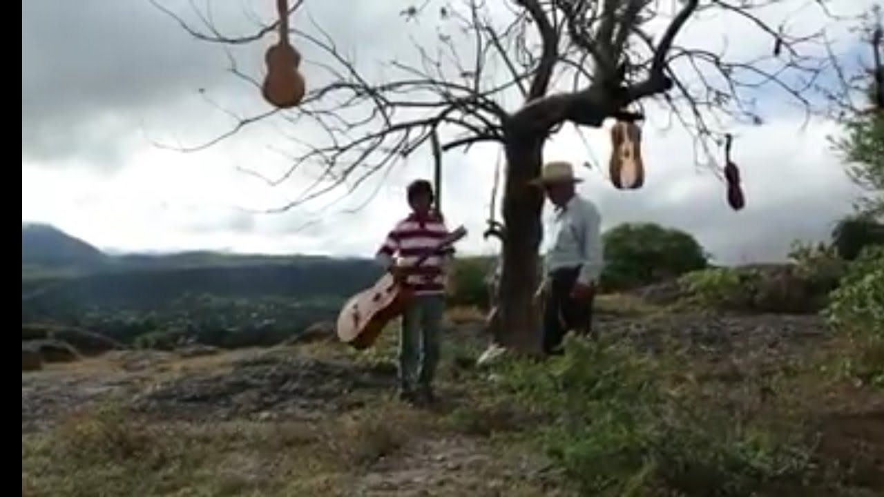 El bajo Quinto Mixteco. Documental