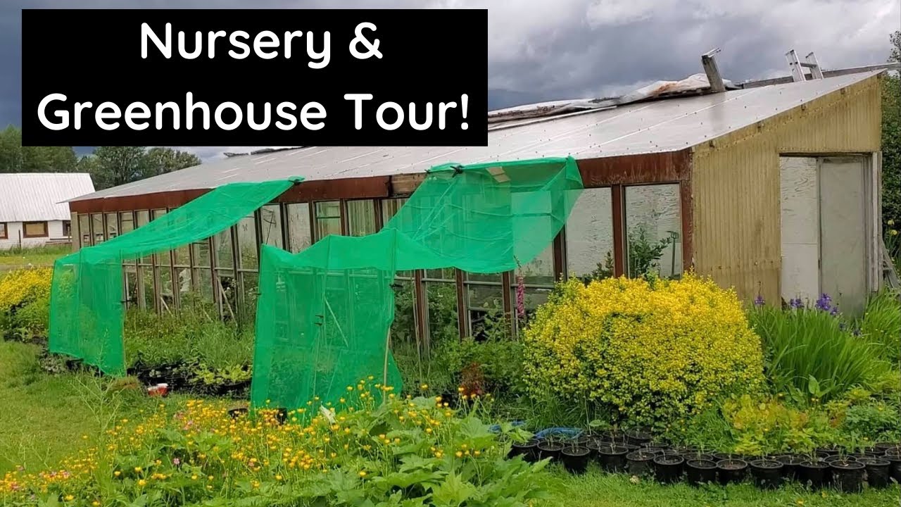 Native Plant Nursery & Greenhouse Tour!