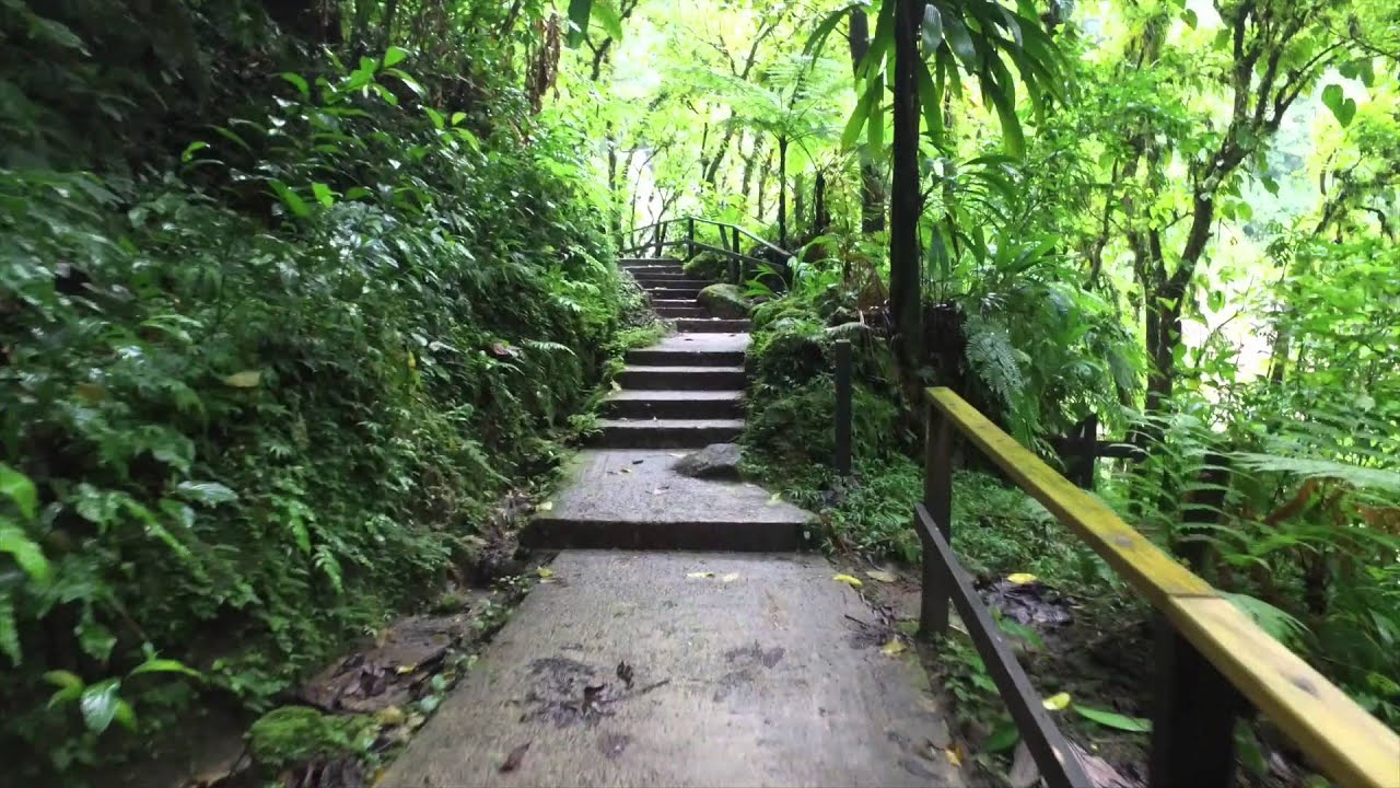 Hiking to Trafalgar Falls in Dominica