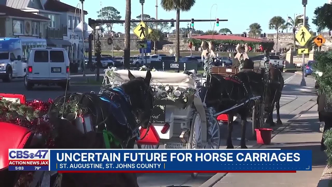 St. Augustine votes not to renew Country Carriages’ lease after years of violations