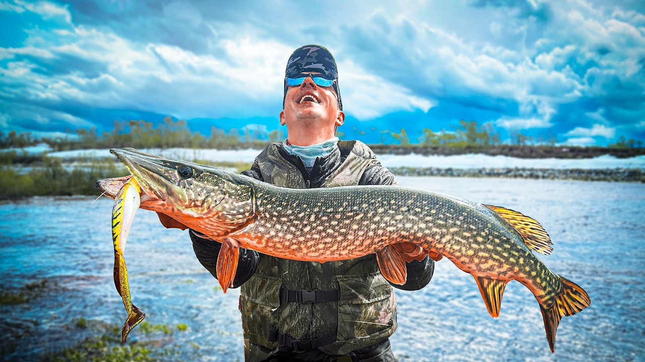 💥 Wild Pike Takeover! Explosive Attacks in Northern Salmon River