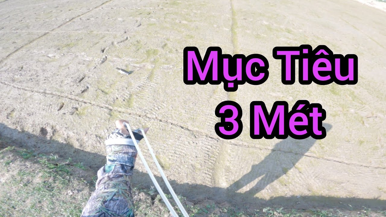 Đi Săn Bằng Ná Cao Su - Siêu Phẩm Bay Lên Cũng Rớt  - Slingshot Hunting