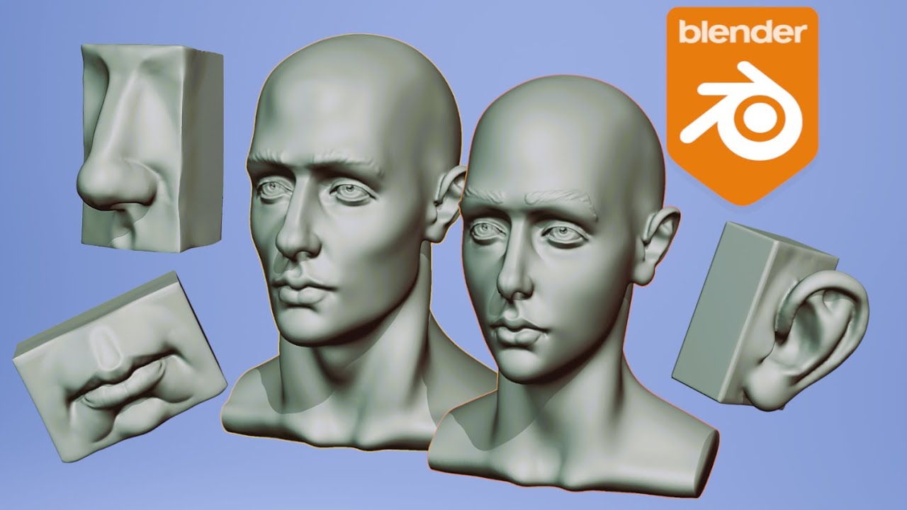 Modelado en Blender de cabezas realistas - Anatomía de retratos en 3D