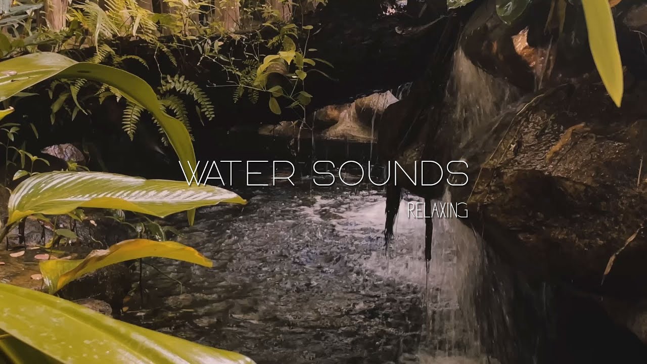 Relaxing Music with Nature Sounds: Peaceful Piano & Guitar | Botanic Cafe Sen Sok
