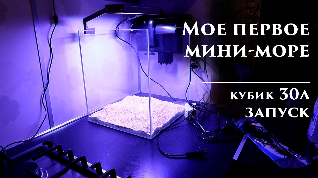 Запуск морского аквариума 30л