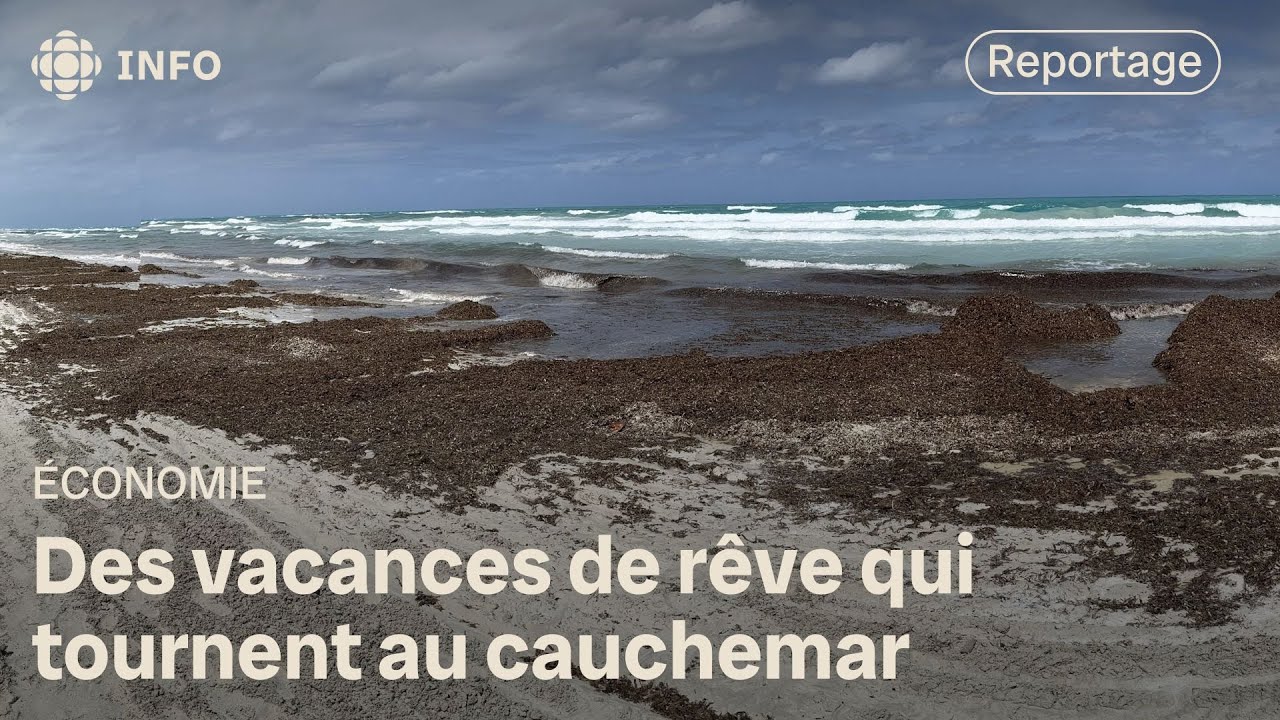 Voyage rat&eacute; : &agrave; qui revient la responsabilit&eacute; ? | La facture