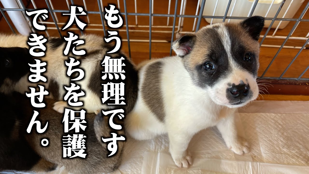 活動継続の危機です…助けてください