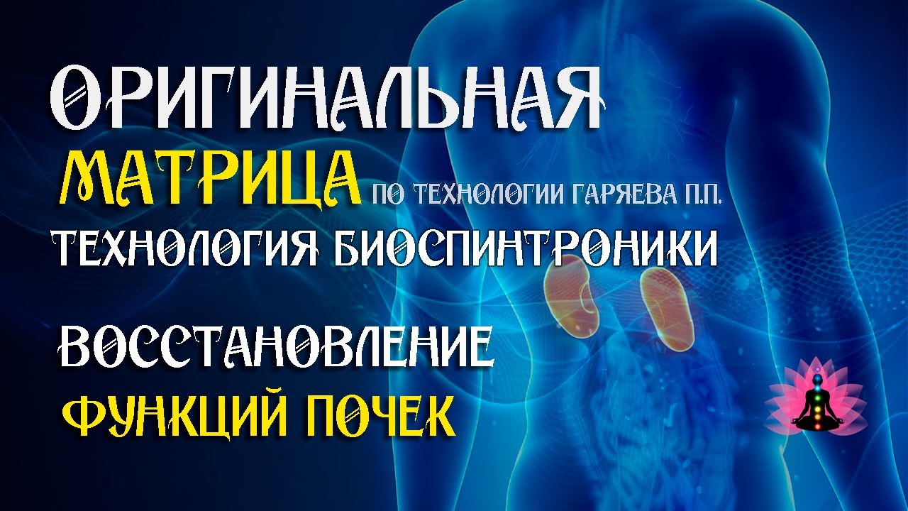 Восстановление функций почек  ⚠️ Оригинальная матрица по технологии Гаряева П П ☀️ SoftRadio ru