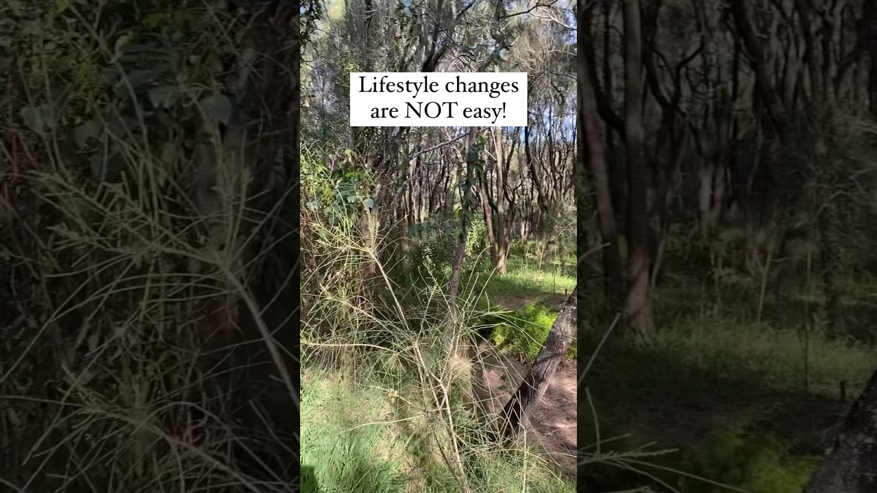 Bushwalk #breathingrehab