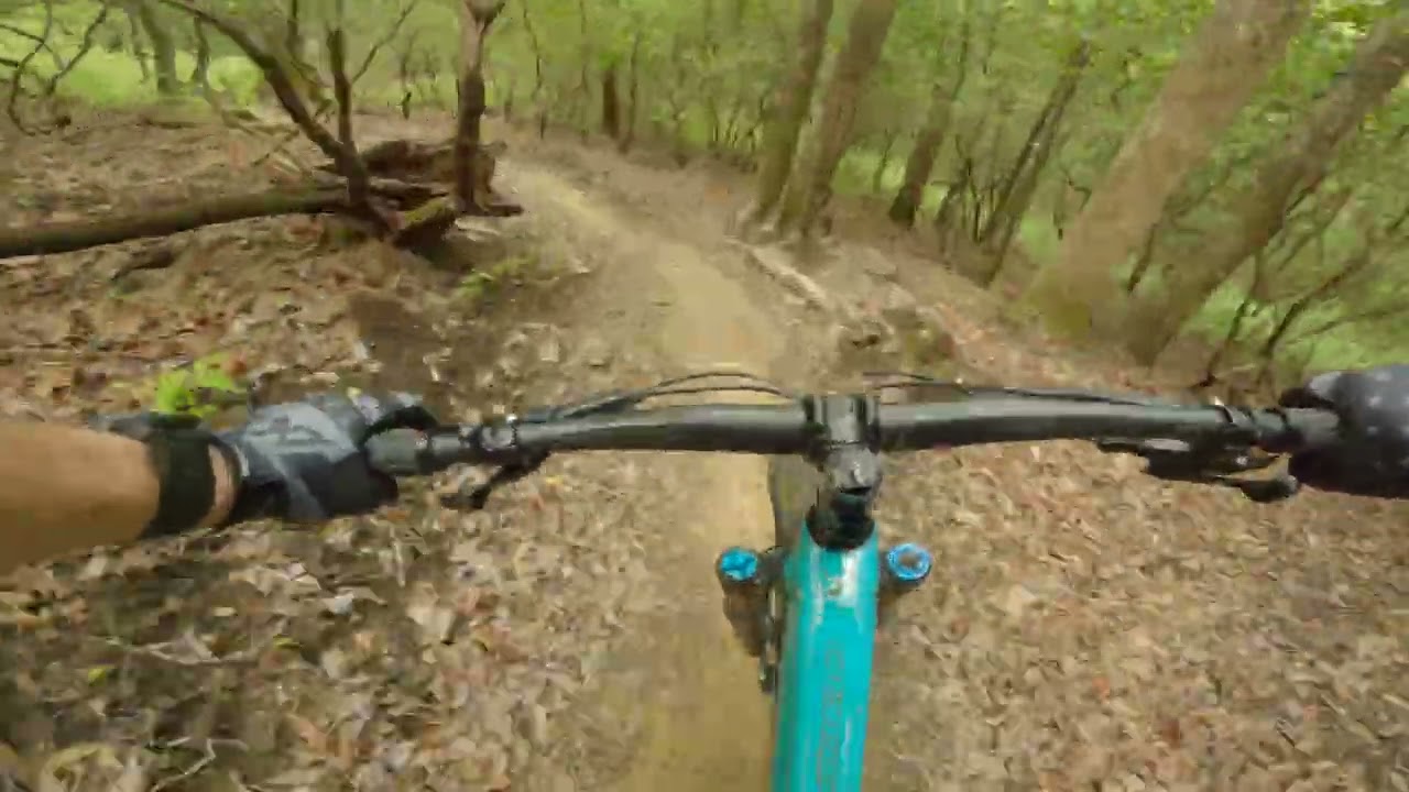 Butter Gap Trail | Pisgah National Forest, NC