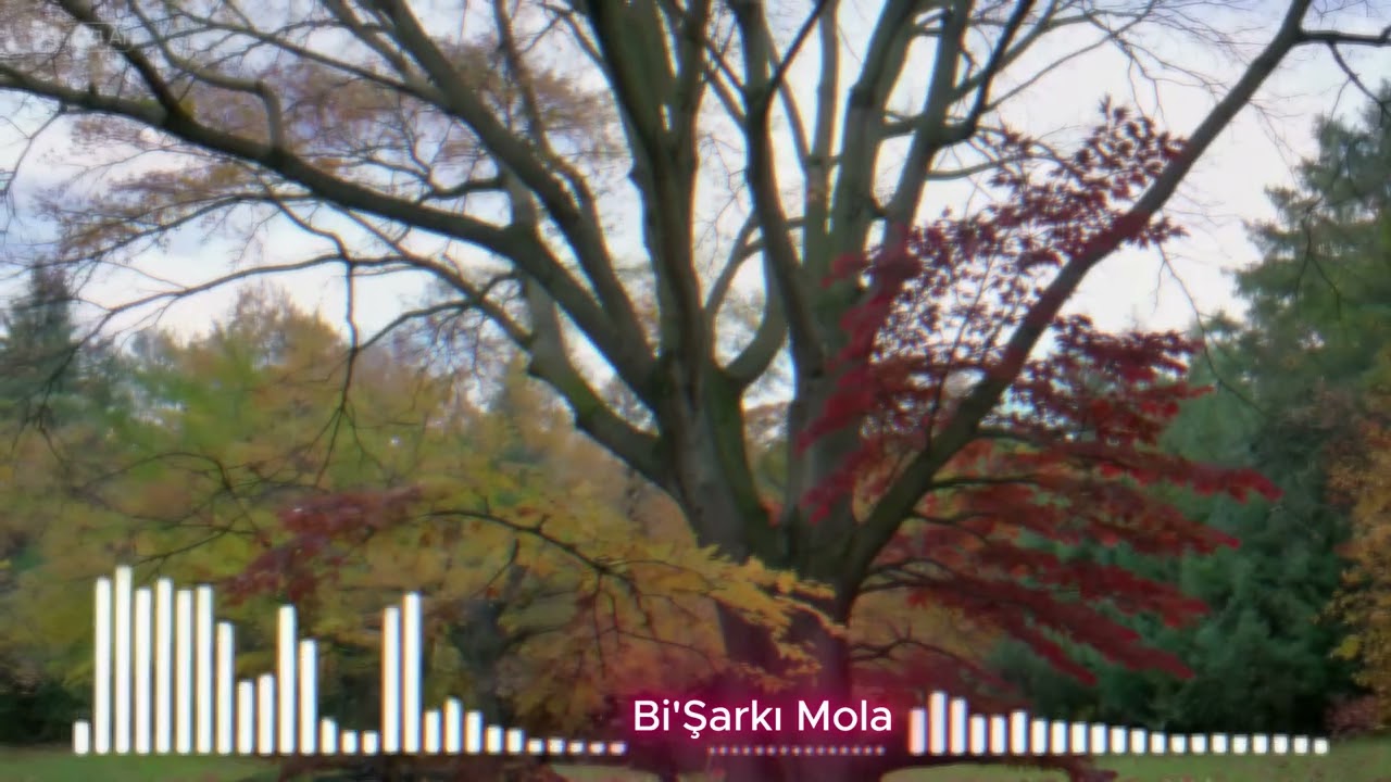 Bi’Şarkı Mola – Kayıp Yollar