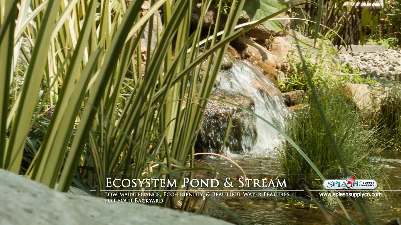 Ecosystem Pond and Waterfall designed by Splash Supply Co in York PA