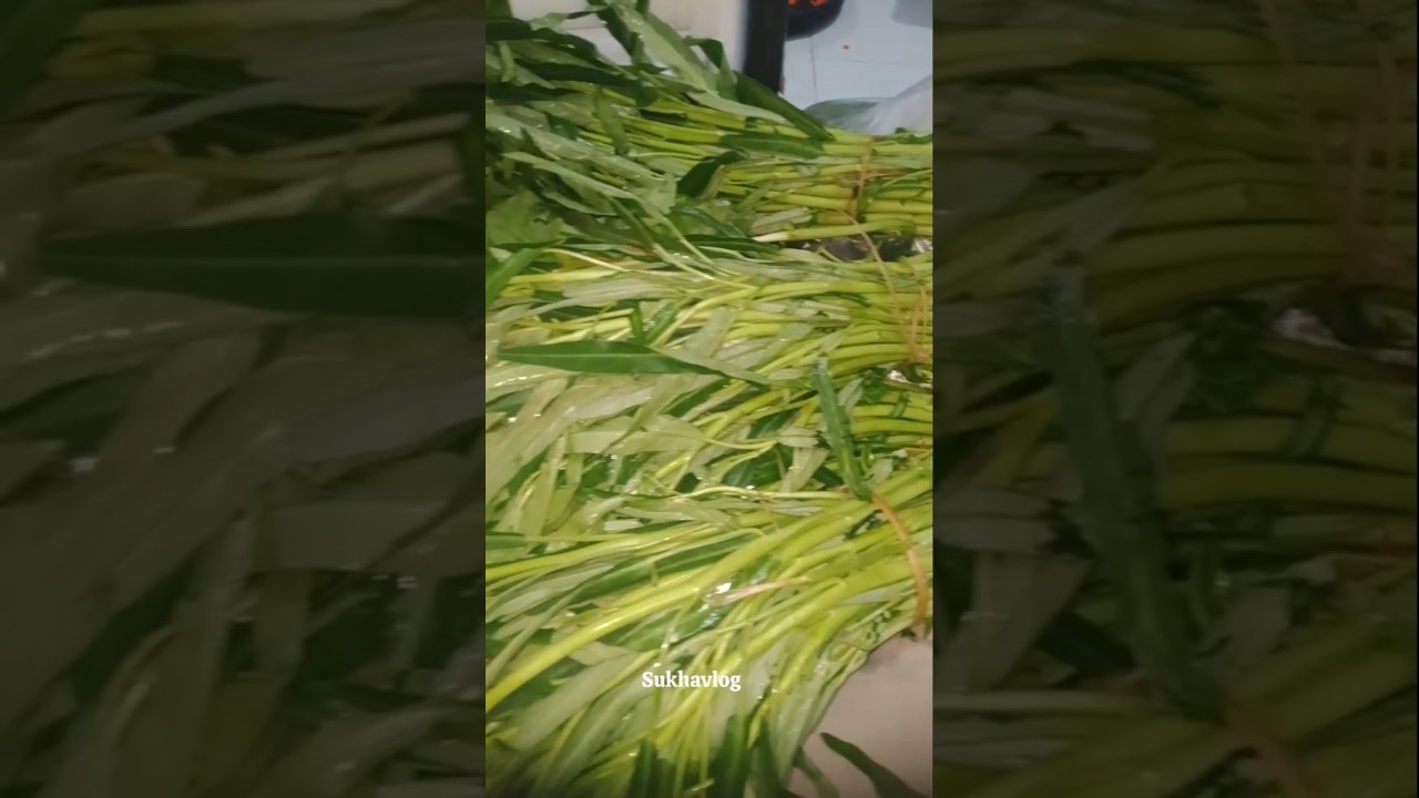 Vlog Beresin Belanjaan Suami #cooking #belajarmasakyuk #viral  #stokkulkas  #fyp #vlog