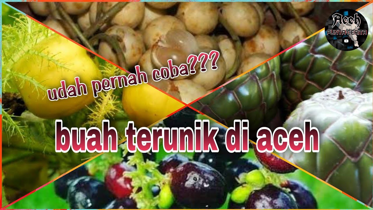 buah-buahan terunik di aceh yang jarang ada di daerah lain
