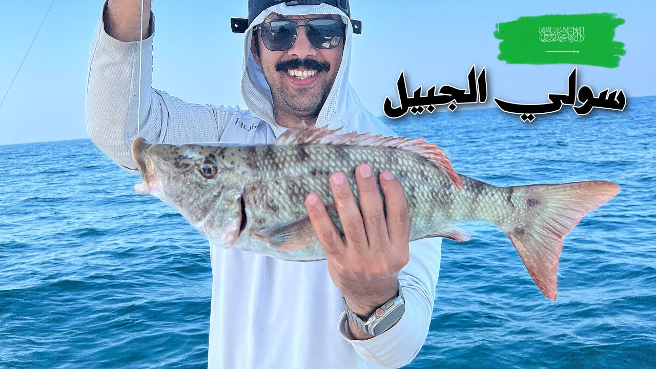 لفاح الجبيل - المملكة العربية السعودية 🇸🇦