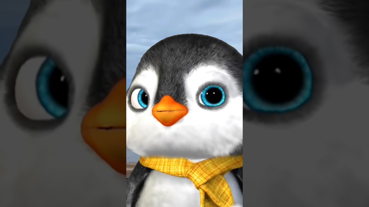Puff Puff used to love you 😳 #penguin #puffpuff #cute