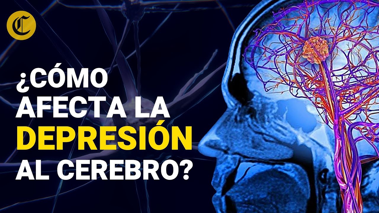 ¿CÓMO AFECTA LA DEPRESIÓN AL CEREBRO? Recomendaciones para ayudar a nuestro 🧠 a funcionar mejor