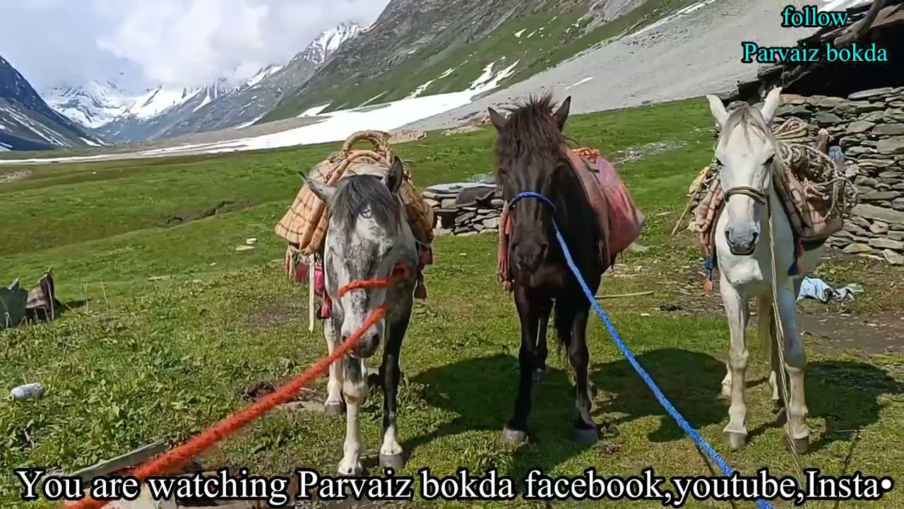 #Sainallah,the last dhok of warwan vally kishtwar #bakarwal #mountains #gojjrisong #nature