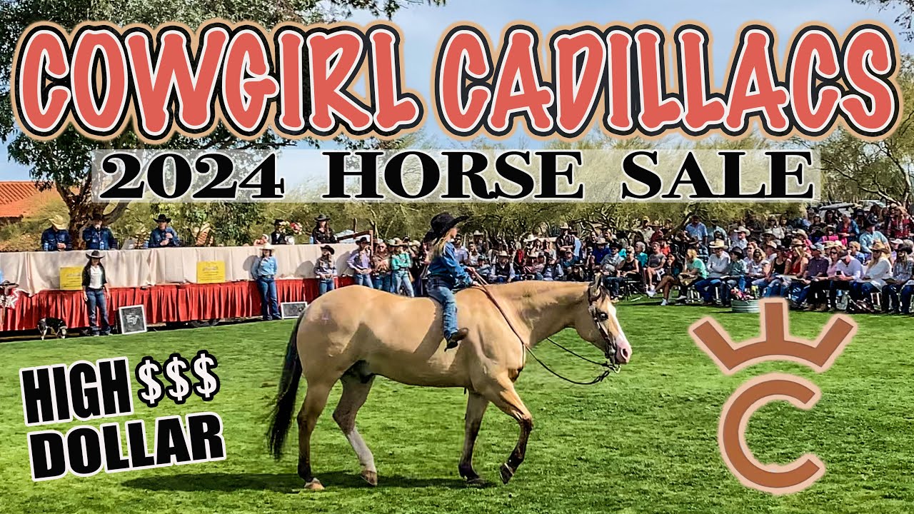 THE BOUJEEST HORSE SALE IN WICKENBURG ARIZONA