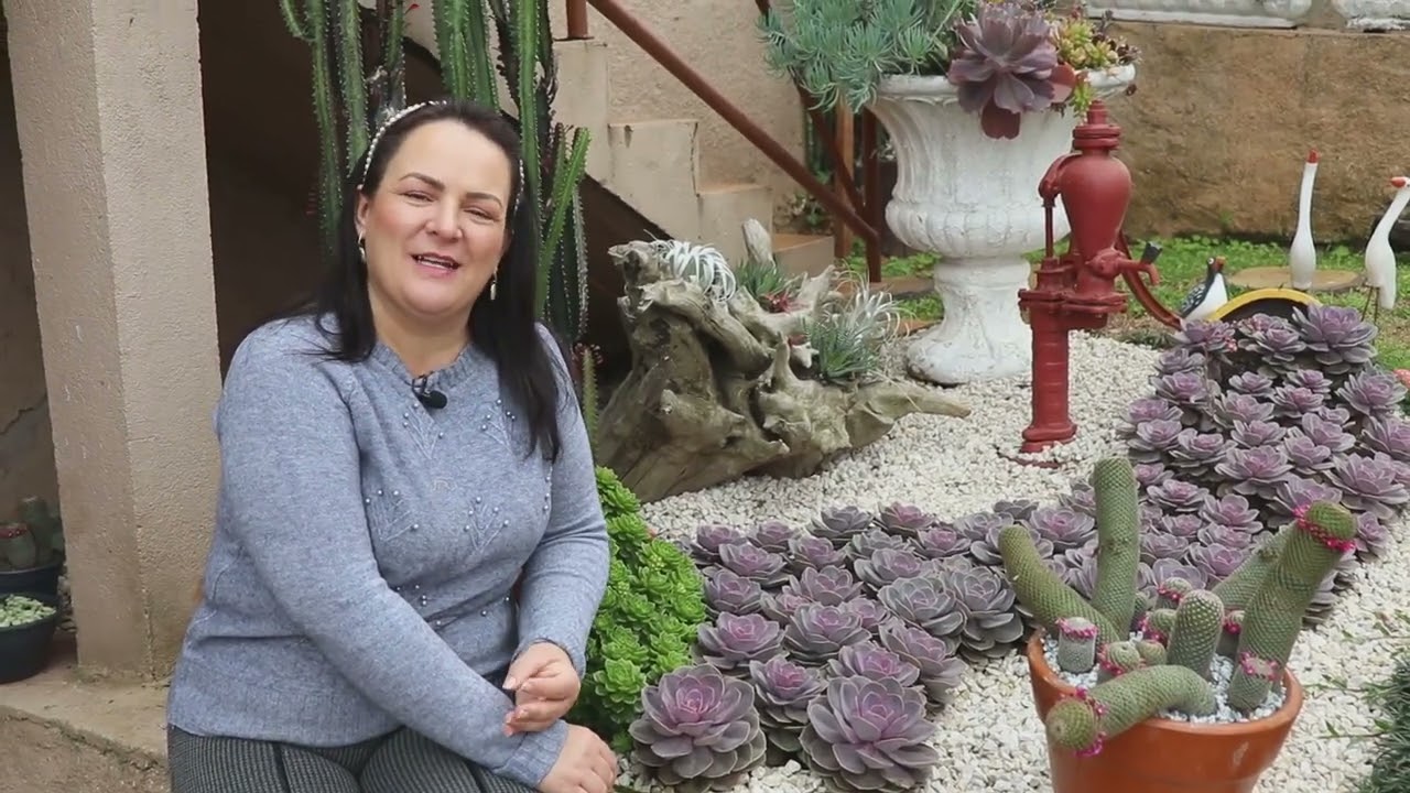 SUPER DICAS PARA JARDIM DE SUCULENTAS #suculentasaotempo #cochonilhas