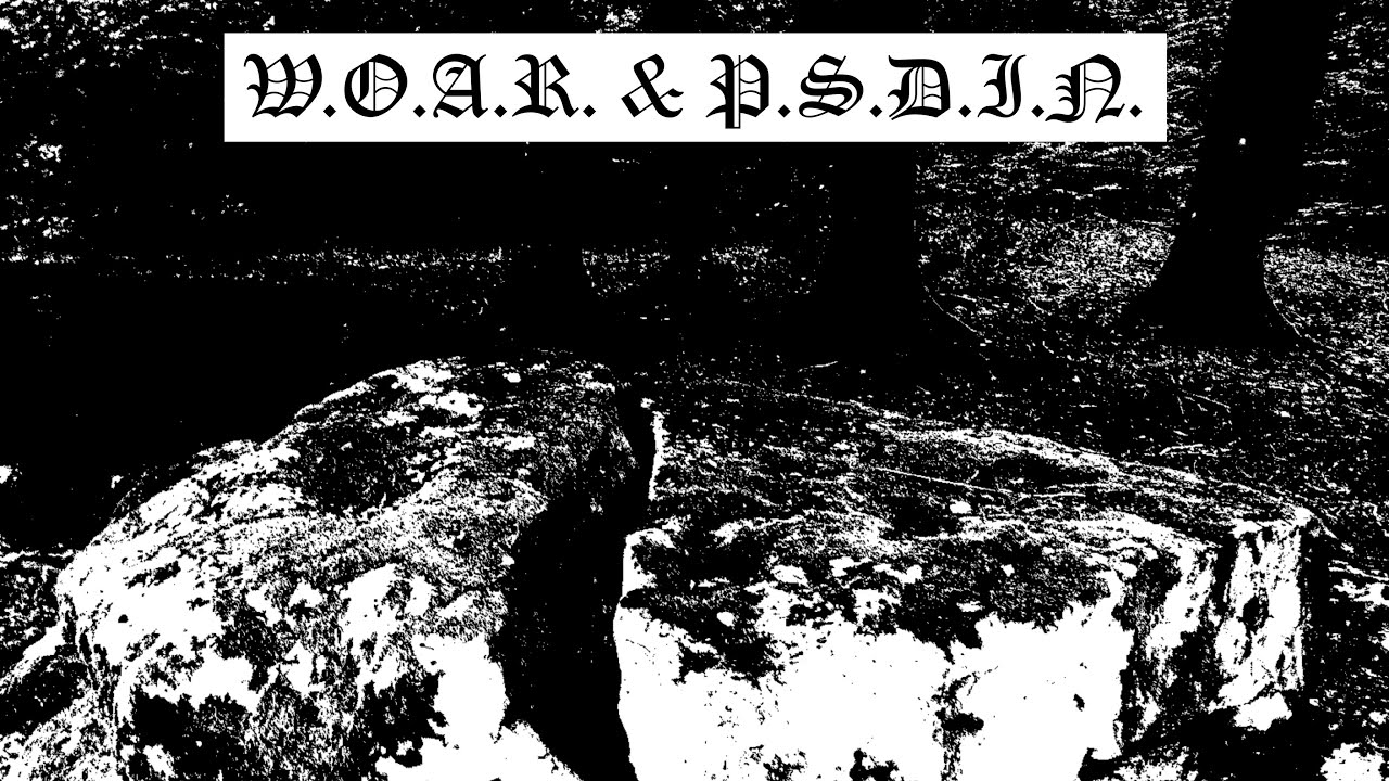 W.O.A.R. & P.S.D.I.N. - 51°28‘35.5“N 9°45‘12.3“E