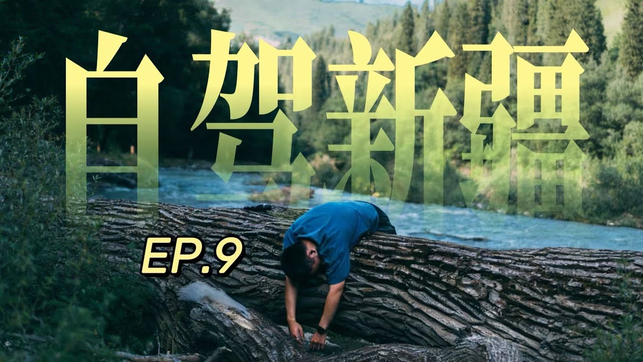 走进森林与河谷｜库尔德宁｜一个人自驾新疆 EP.9 —— Kuerdening National Forest (EP.9)