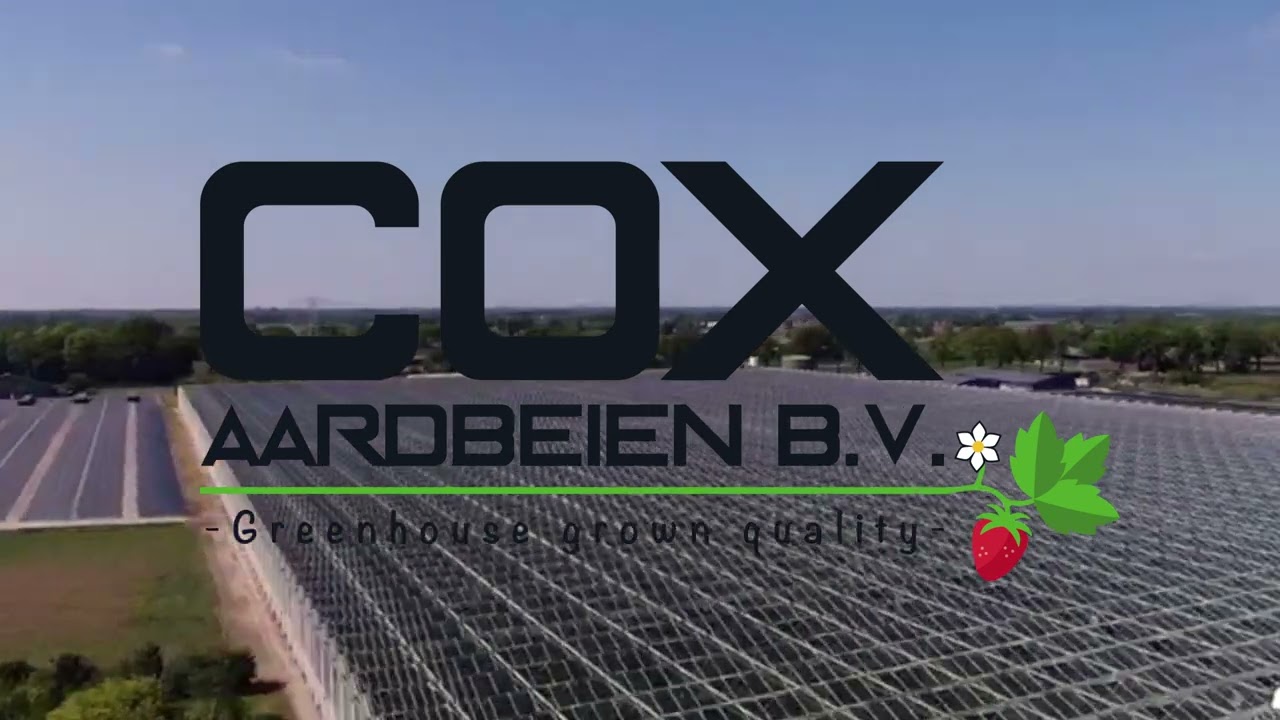 Bedrijfsfilm Cox Aardbeien