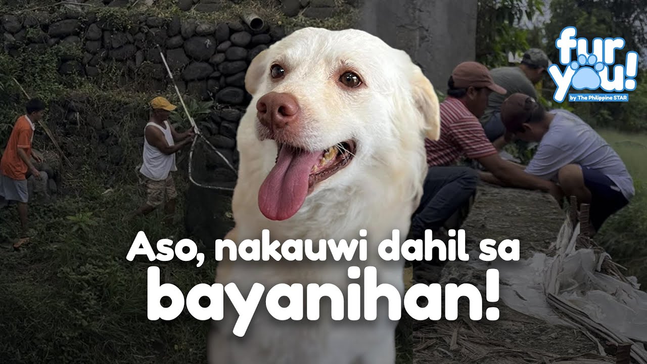 Dahil sa bayanihan, nahanap na ang aspin na si Pinpin!