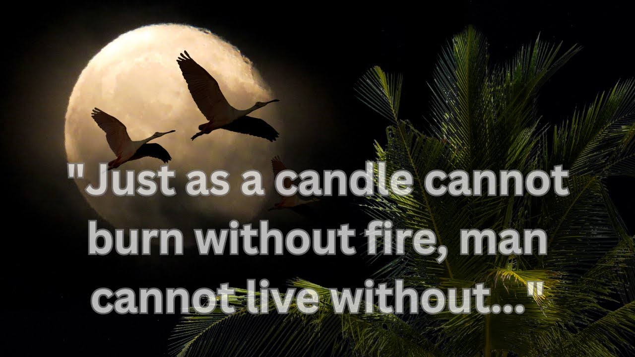 Sacred Insights: Timeless Spiritual Quotes from Famous Personalities.