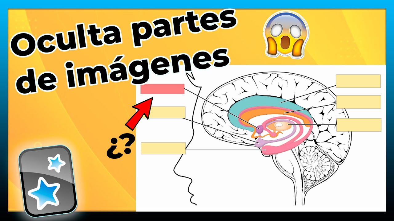 ESTUDIA con IMÁGENES en Anki - Complemento IMAGE OCCLUSION