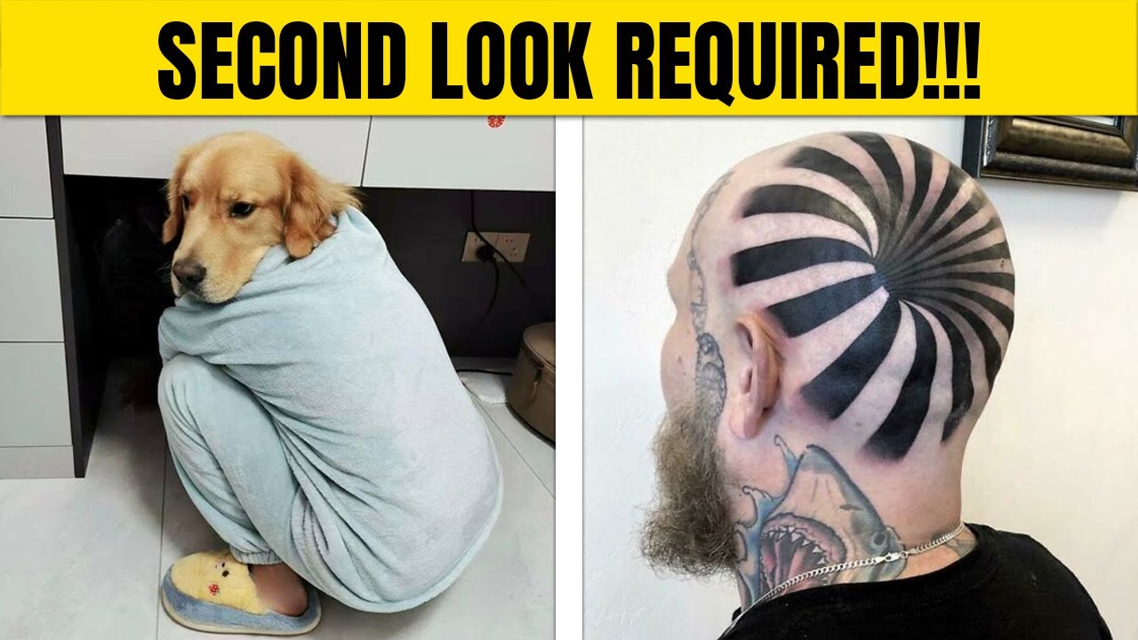 Photos That Trick Your Eyes So Well You Might Need A Second Look To Get Them
