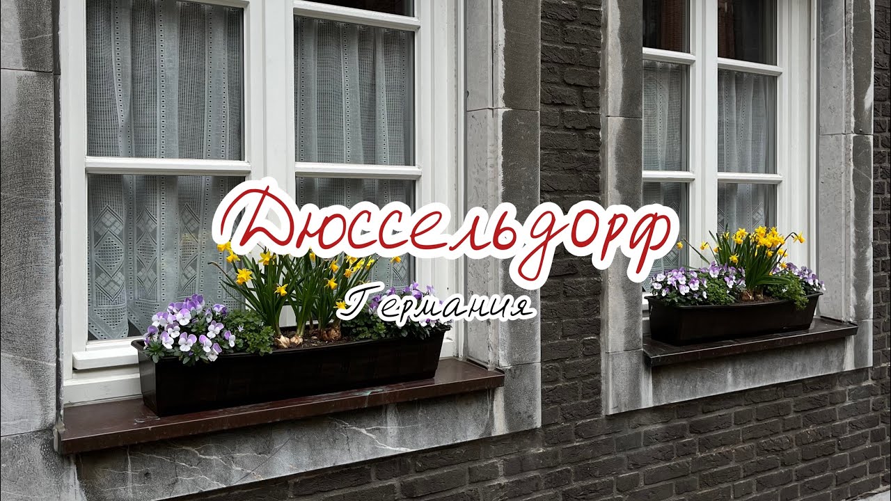 Выпить пиво в Дюссельдорфе