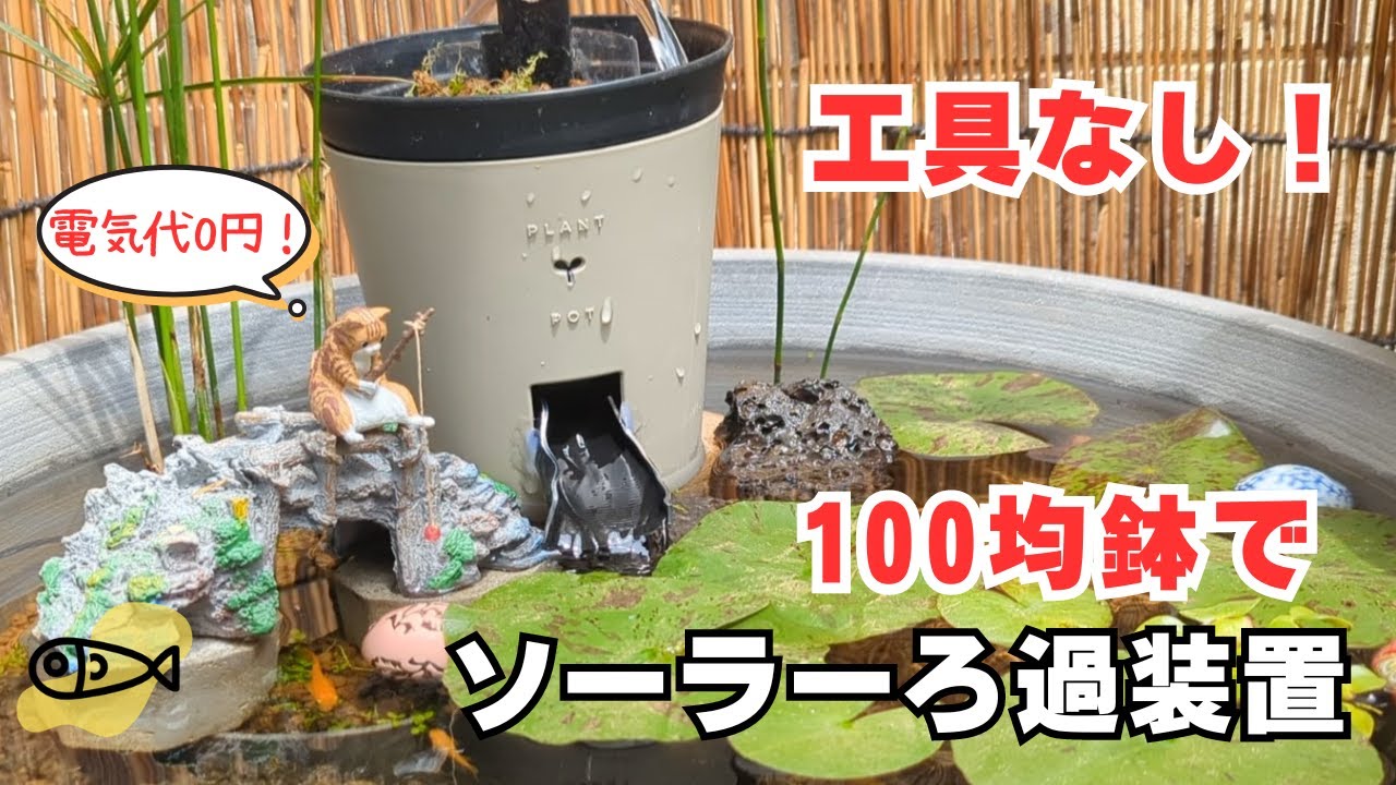 100均の植木鉢で簡単ソーラーろ過装置を作りました。メダカ飼育　メダカのビオトープ