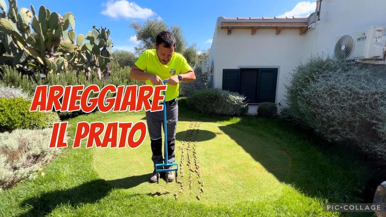 Arieggiare il prato - verticut carotatura e topdressing + concimazione - 2024