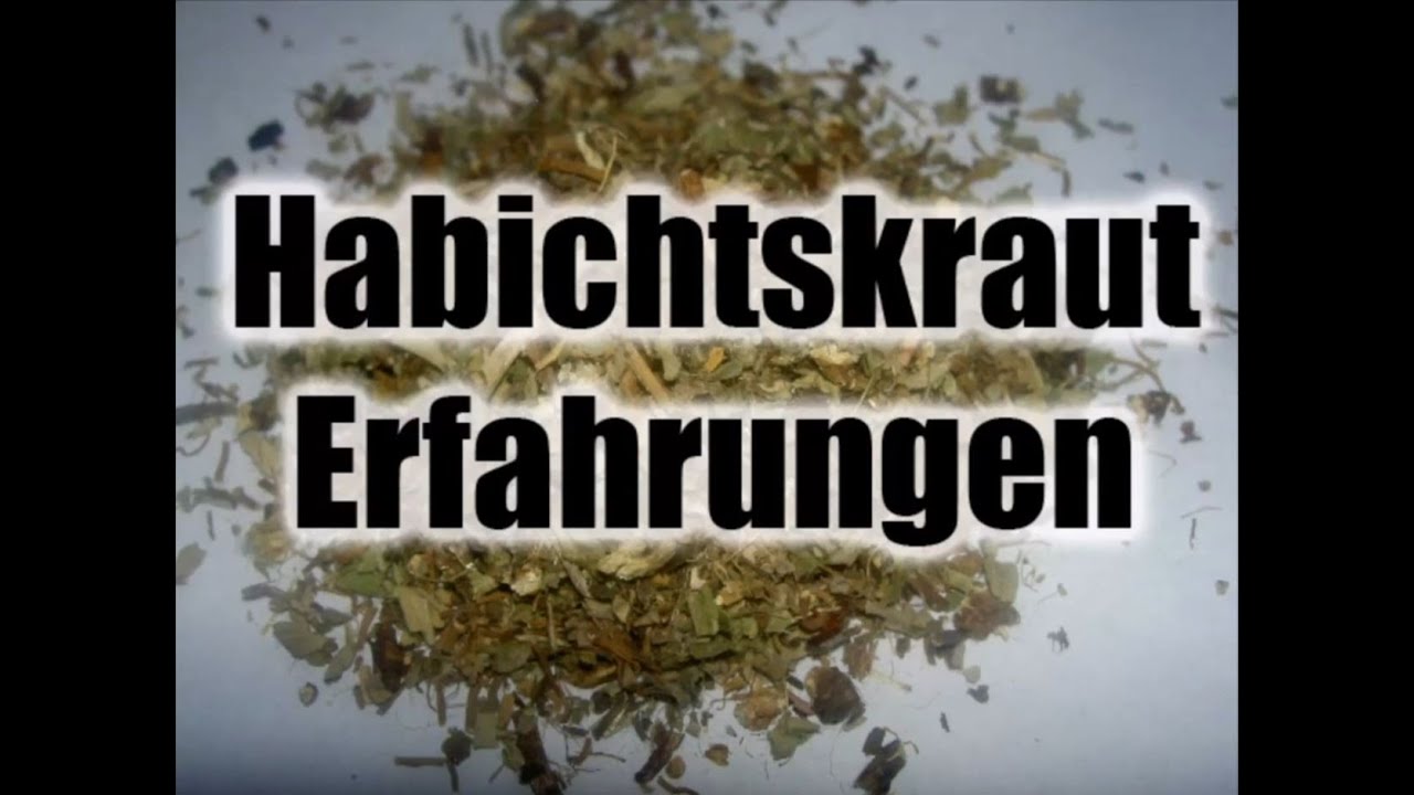 Meine Erfahrung mit Habichtskraut - Milde psychoaktive Pflanze (Hieracium pilosella)