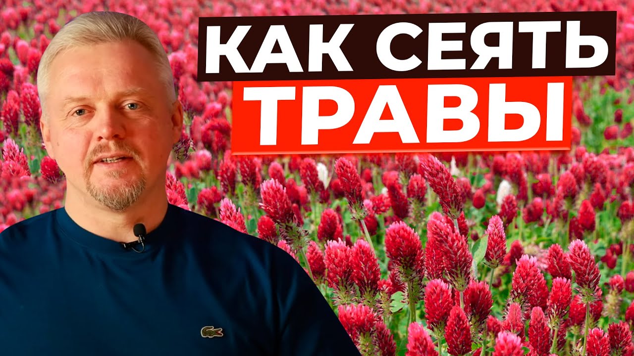 как сеять пастибща или сенокосы чтобы получить удой или привес