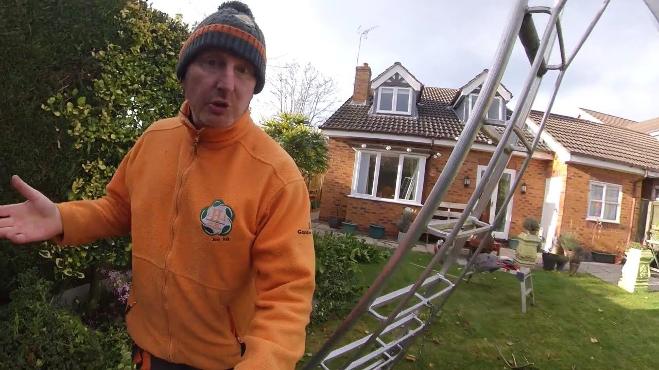 Garden / yard tidy up anyone can do. Get rid of waste like magic