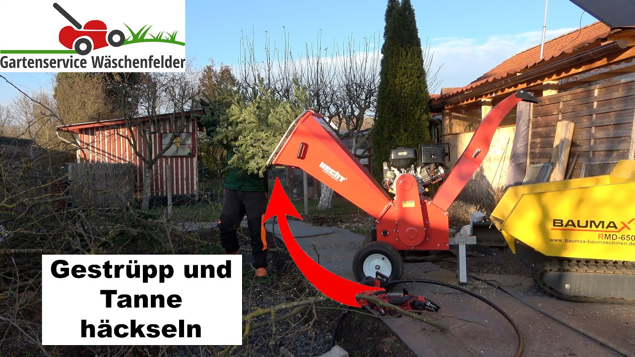 Häckseln vom Baumschnitt mit dem Hecht Profi 6642 🌲🪵