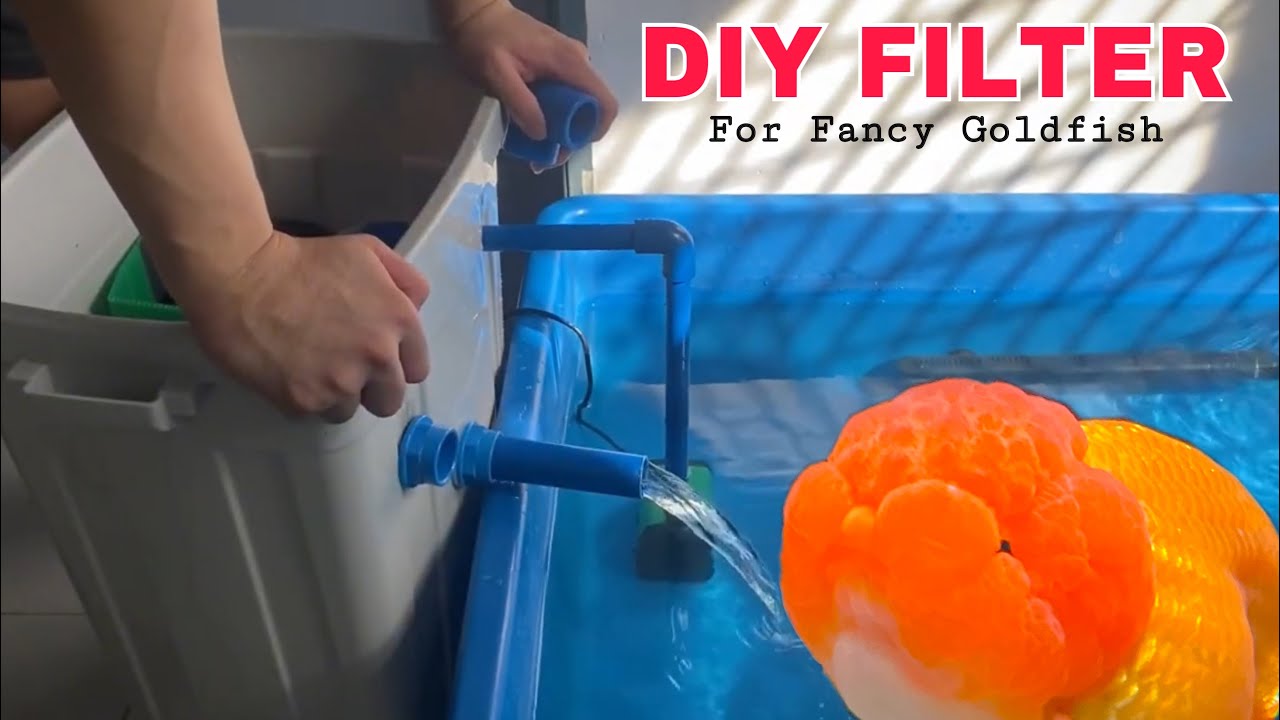 How to create DIY Filter? 🤔