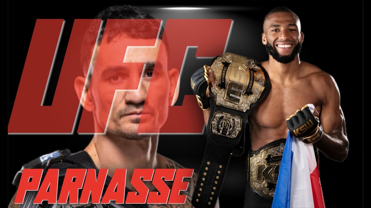 Salahdine Parnasse à t'il le niveau UFC? Débat X SetifMMA