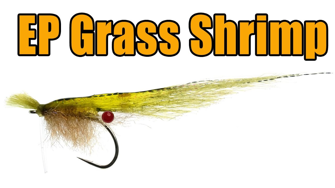 EP Grass Shrimp Fly Tying - Enrico Puglisi Fly Pattern