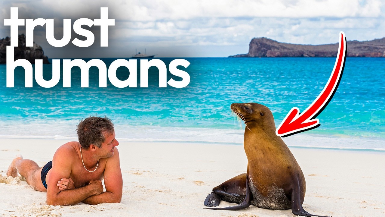 GALÁPAGOS ISLANDS: The Islands That Changed Science | Documentary