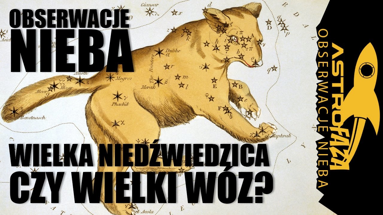 Wielka Niedźwiedzica czy Wielki W&oacute;z? - Astrofaza Obserwacje Nieba