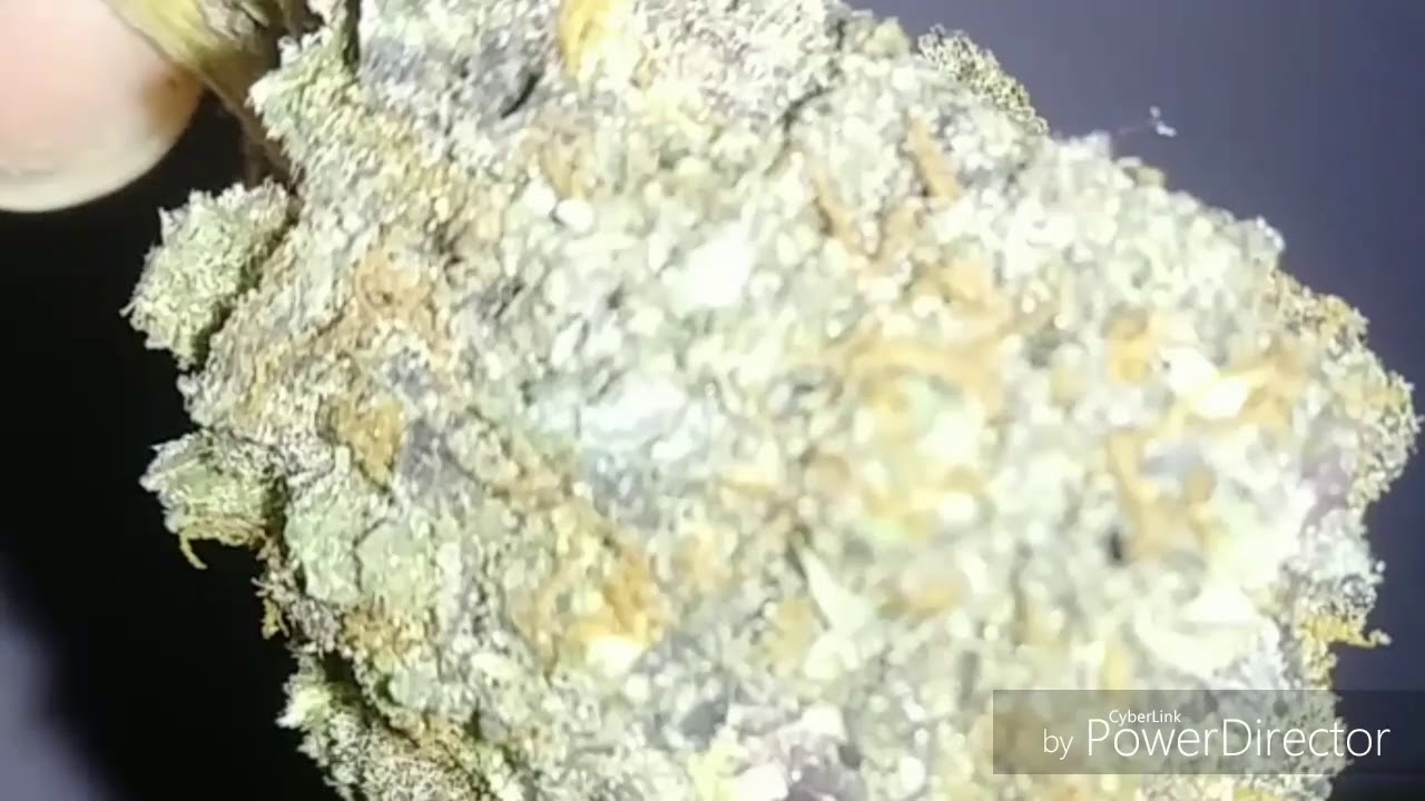 Purple Vape from Elev8 Cannabis
