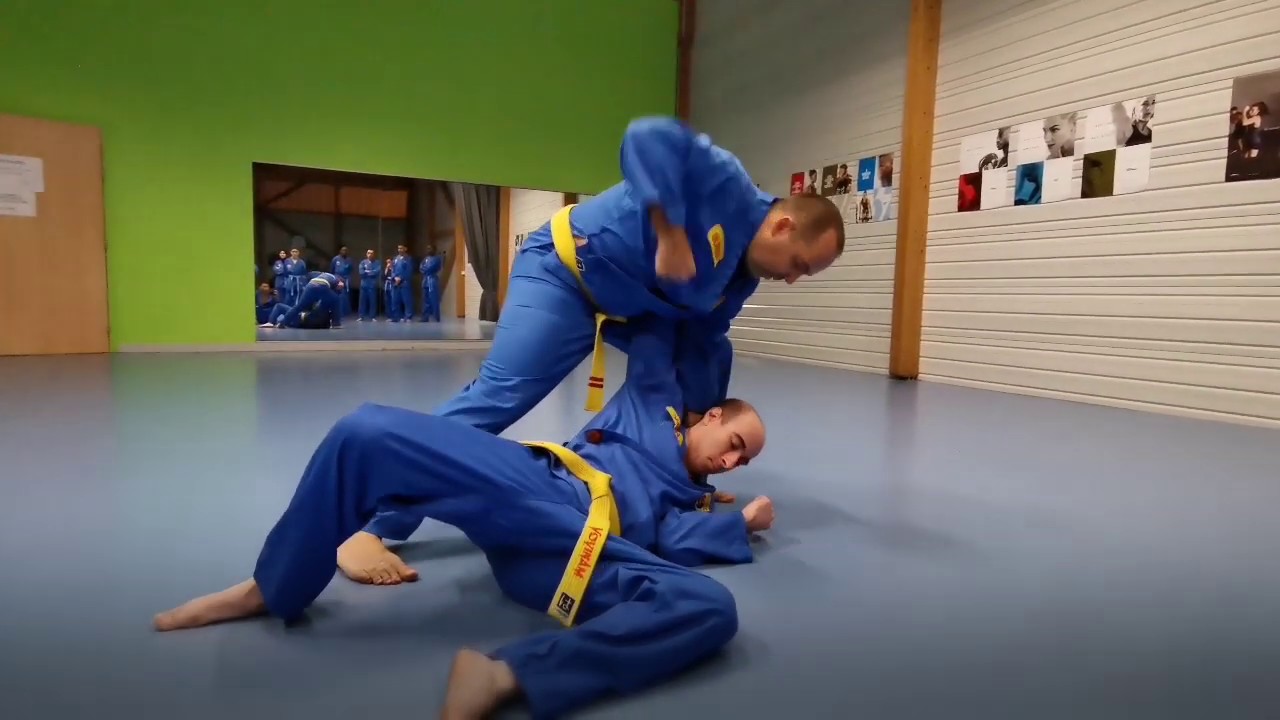 Programme Tu Ve (bleu clair) - Vovinam Viet Vo Dao