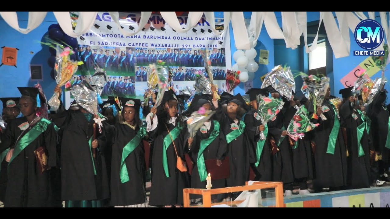 Sirna Eebba Barattoota KG 3 Fi cufiinsa Mana barumsaa Caffee