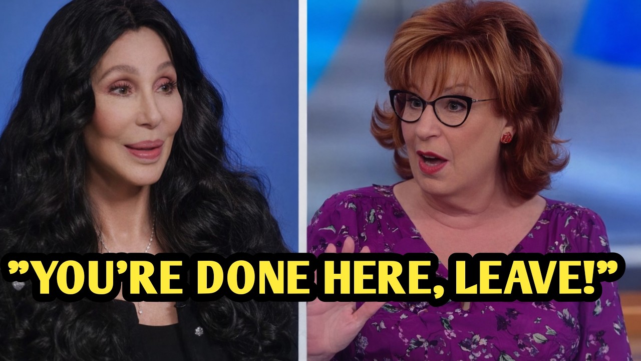 Cher KICKED Off The View After Viral Clash With Joy Behar