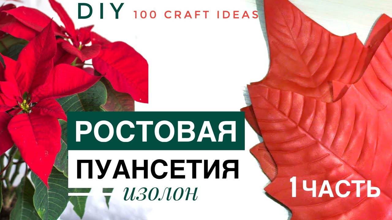РОСТОВАЯ ПУАНСЕТИЯ из изолона. Часть 1. Как сделать молд для лепестков пуансетии своими руками. DIY